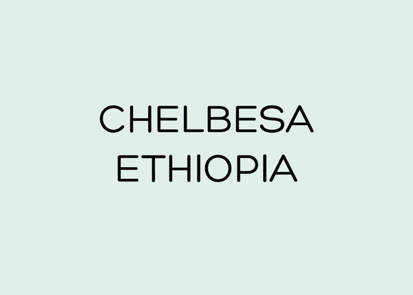CHELBESA - ETHIOPIA