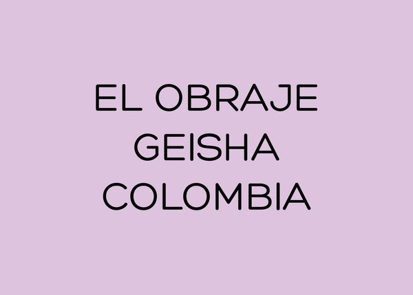 EL OBRAJE - GEISHA - COLOMBIA