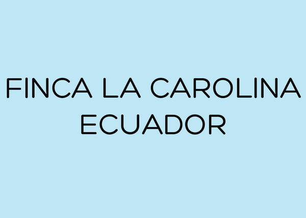FINCA LA CAROLINA - ECUADOR