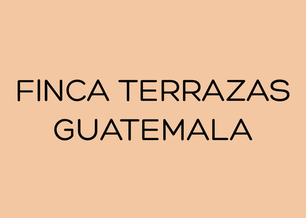 FINCA TERRAZAS - GUATEMALA