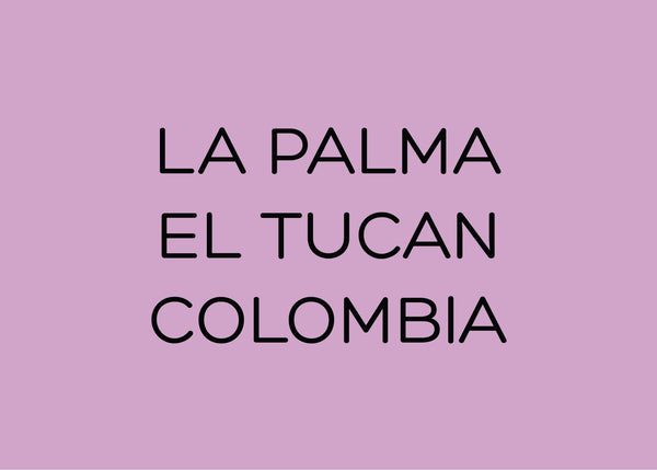 LA PALMA & EL TUCAN - JUAN DAVID GIRALDO - COLOMBIA