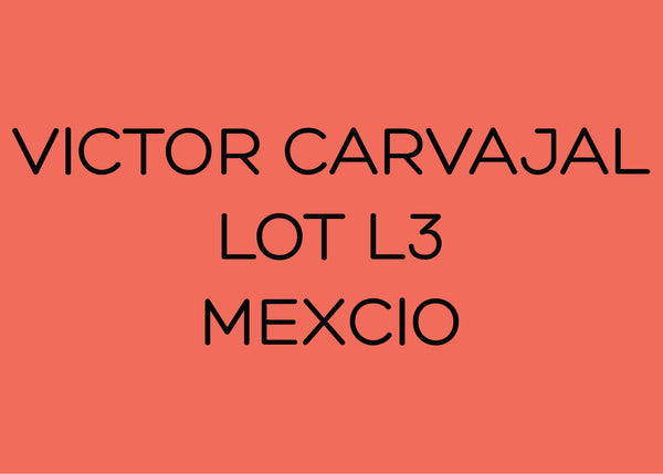 VICTOR CARVAJAL - LOT V3 - MEXICO
