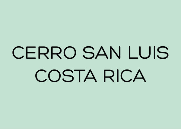 CERRO SAN LUIS - GEISHA - COSTA RICA