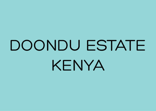 DOONDU ESTATE - KENYA