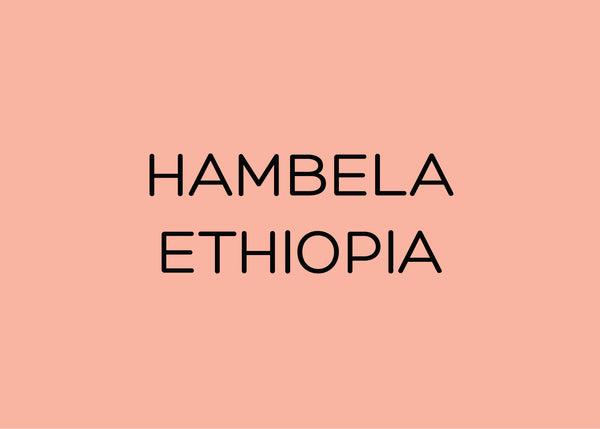 HAMBELA - ETHIOPIA