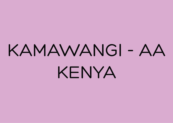 KAMAWANGI - AA - KENYA