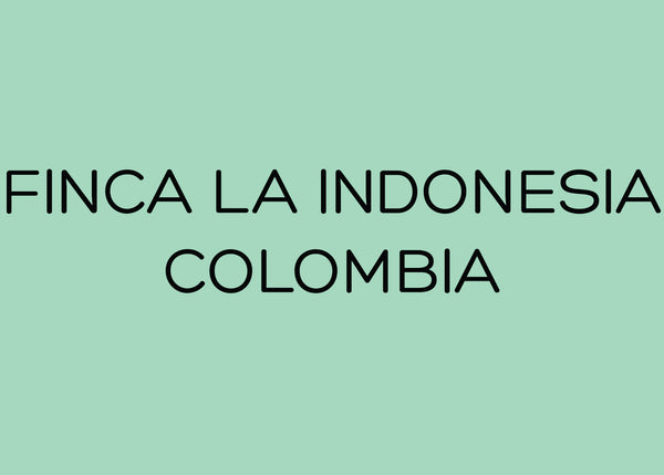 FINCA LA INDONESIA - COLOMBIA