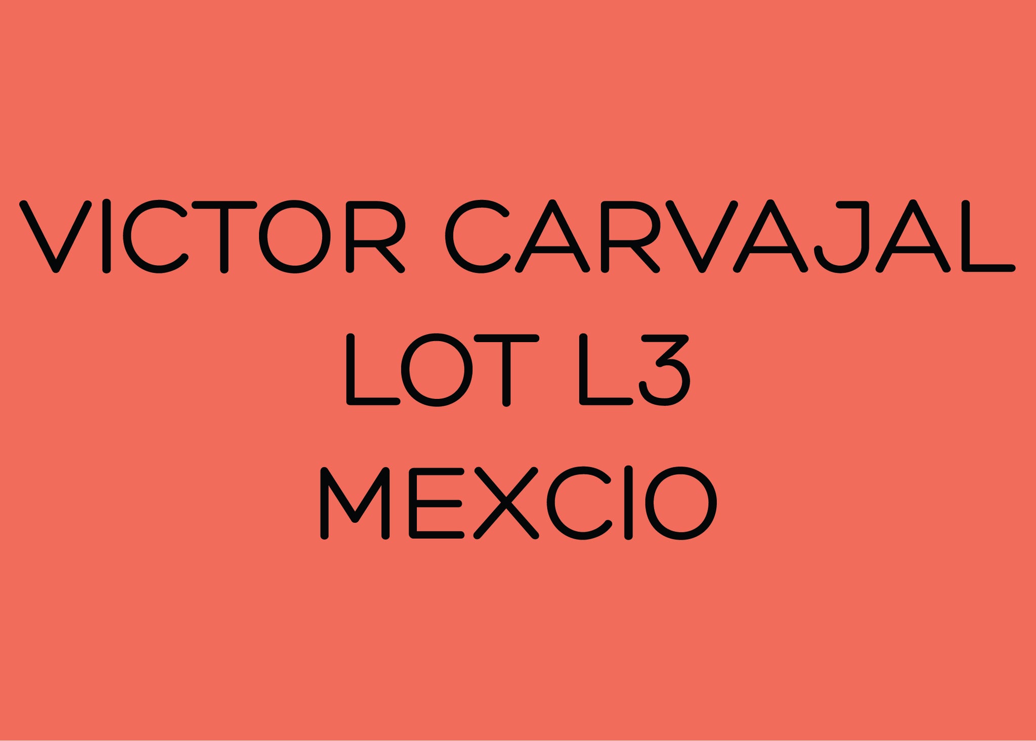 VICTOR CARVAJAL - LOT V3 - MEXICO